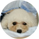 モコてっちゃん モコてっちゃん