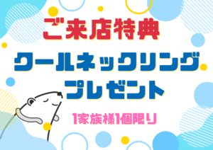 プロタイムズ明石駅前リターンズイベントのご来店特典