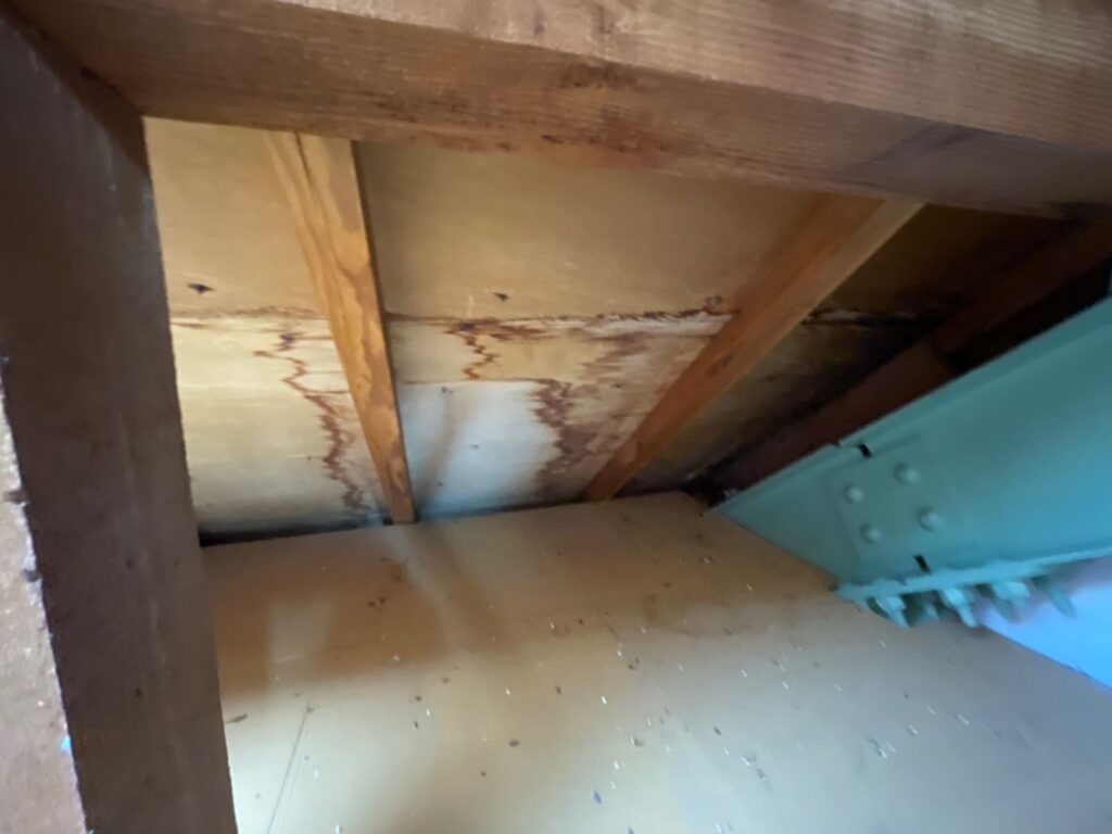 小屋裏の雨漏り診断時写真