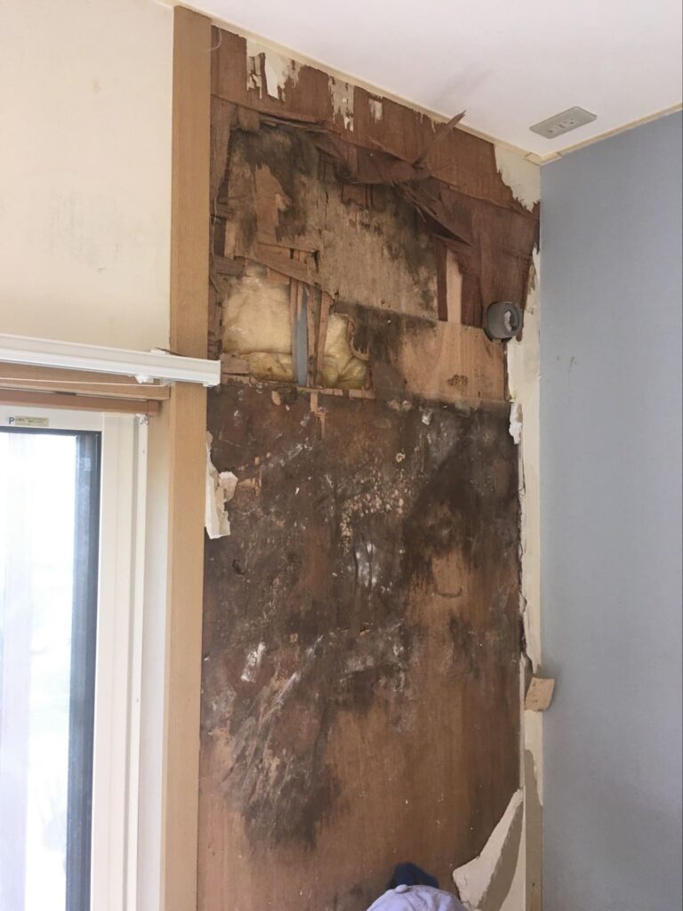 雨漏り、壁紙撤去後の画像 株式会社Matsudaira